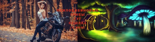 тгк Беломорск