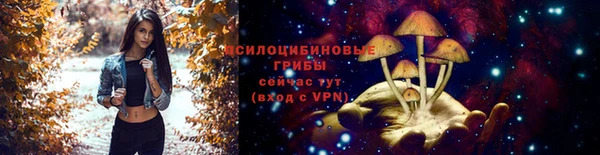 тгк Беломорск