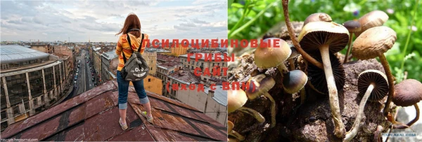 тгк Беломорск
