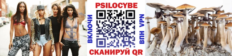 Галлюциногенные грибы Psilocybine cubensis магазин Салават